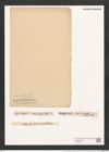 Navicula cryptocephala var. veneta Rabh. (Kuetz.) (de-Toni-Nr.: Genus 1, Species 109) Zeichnungen Sammlung Grunow (NHMW-BOT-W0366597)
